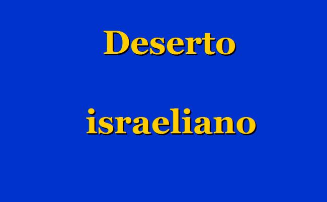 Deserto israeliano